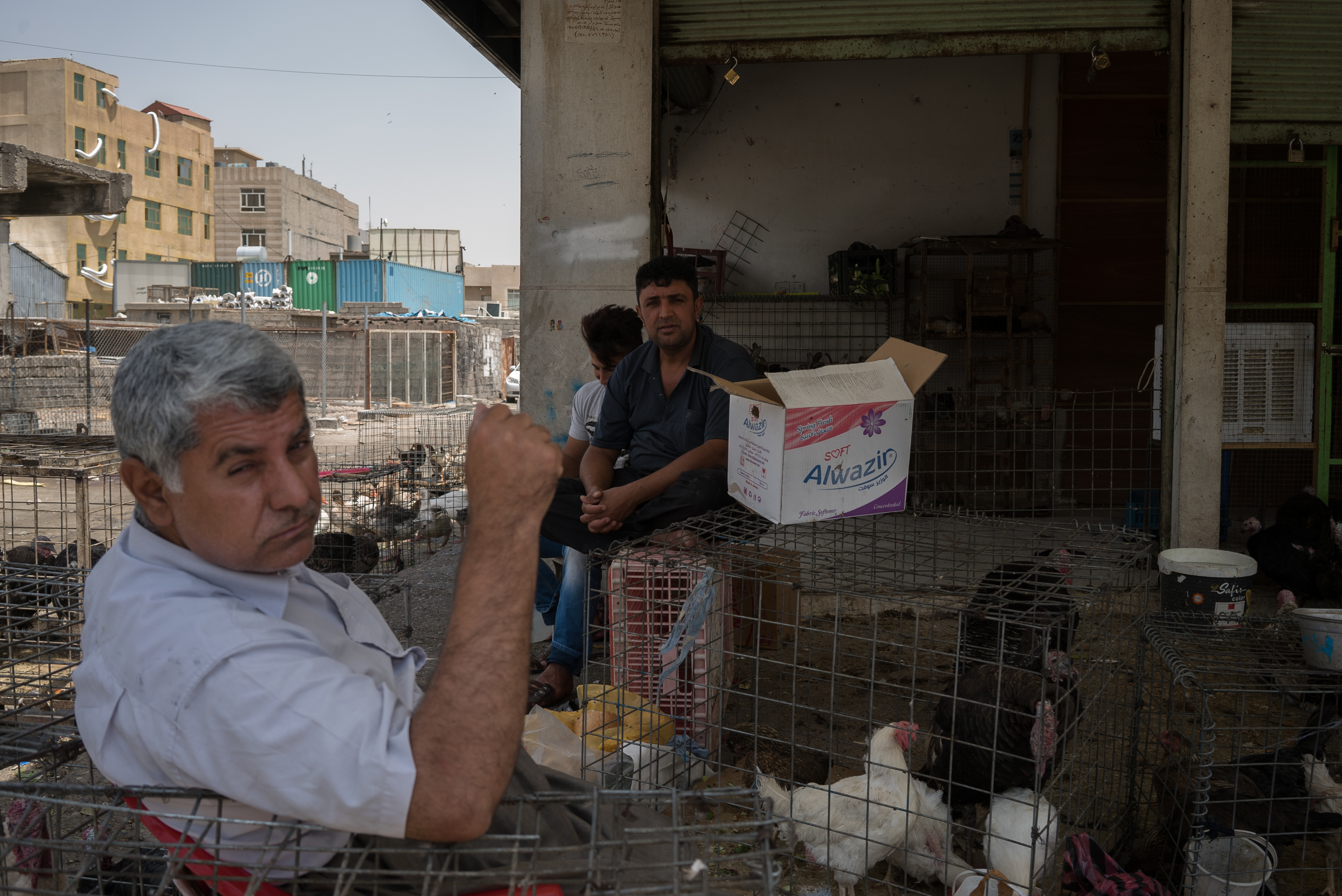 Erbil market for birds and animals, Erbil, Kurdistan Region, June 4, 2016. (Photo: Kurdistan24/Alexandre Afonso)